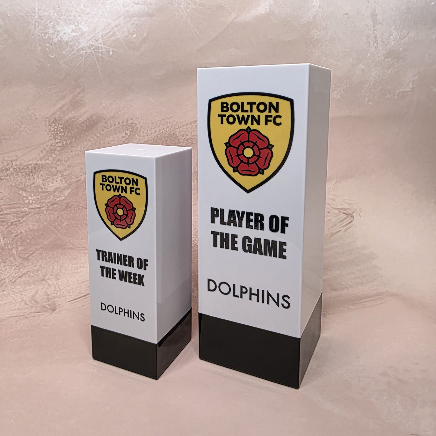 Printed and branded Block award 1 Printed and branded Block award